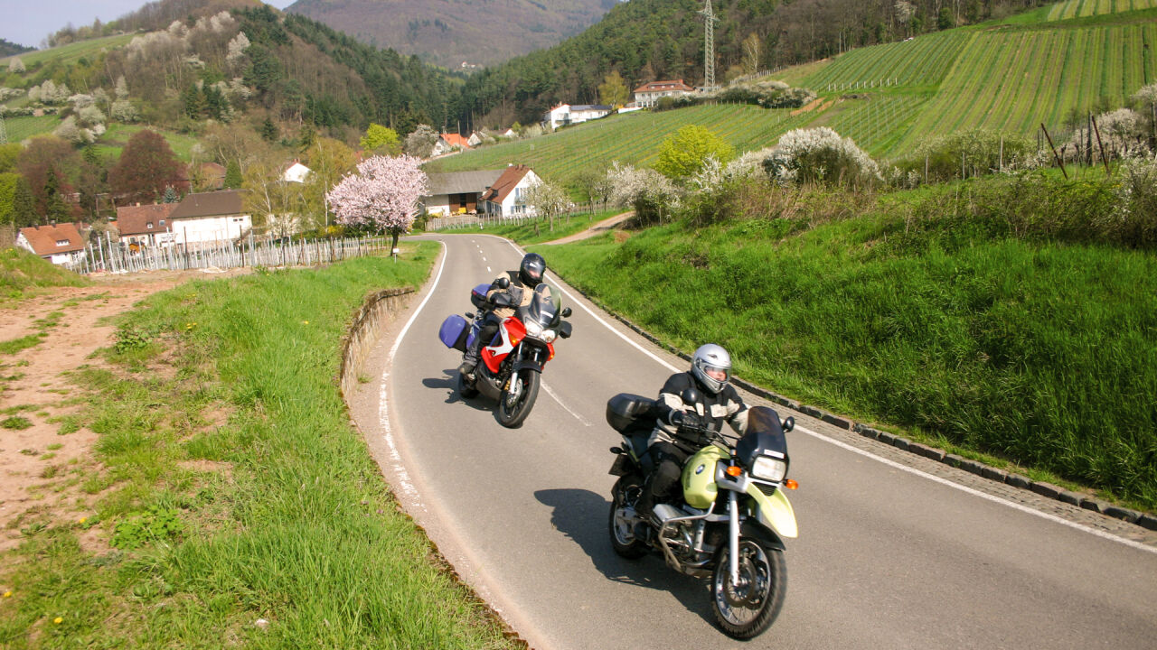 Zwei Motorräder auf einer Landstraße zwischen blühenden Bäumen und Rebhängen