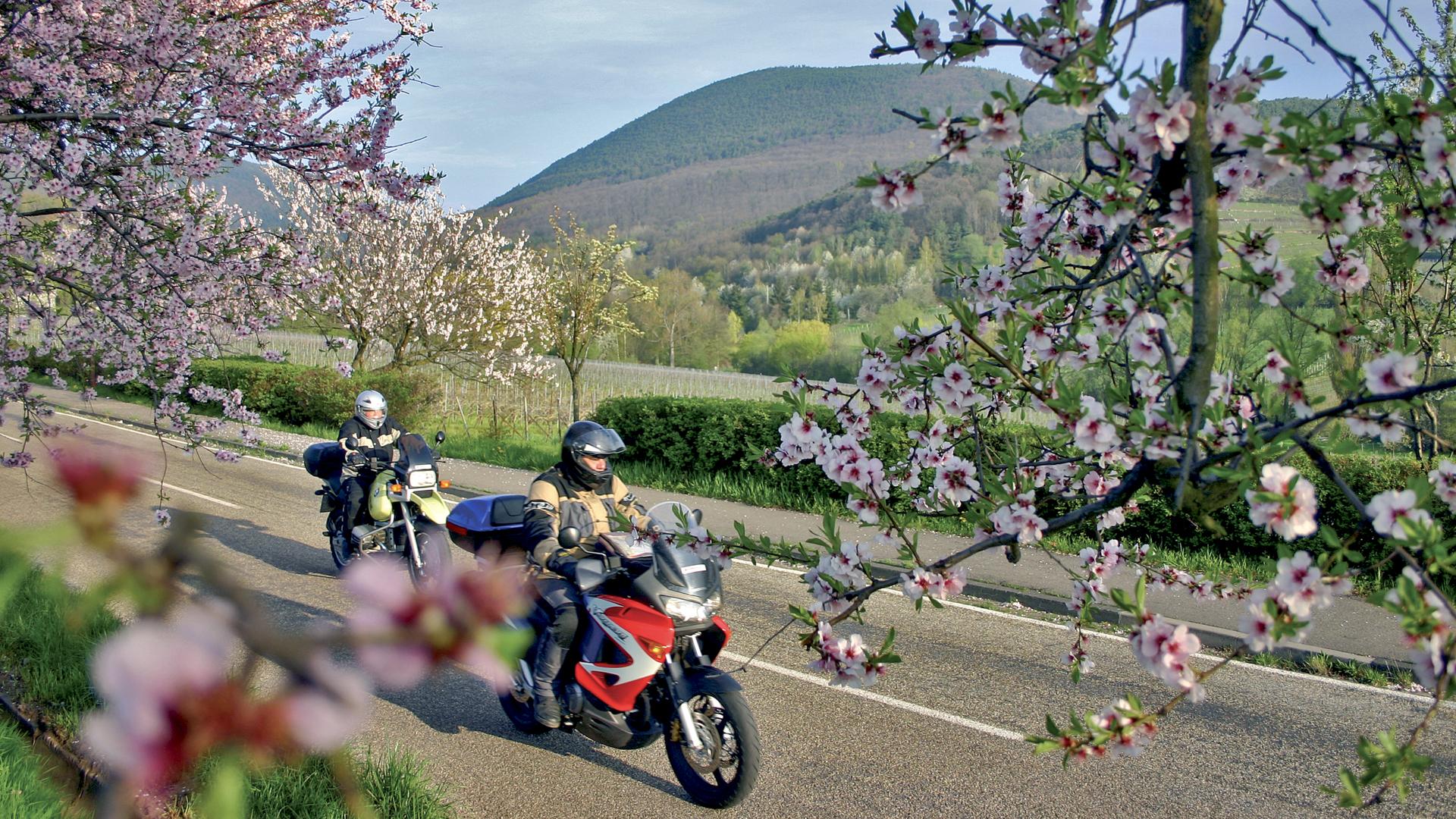 Motorradhotels in der Pfalz