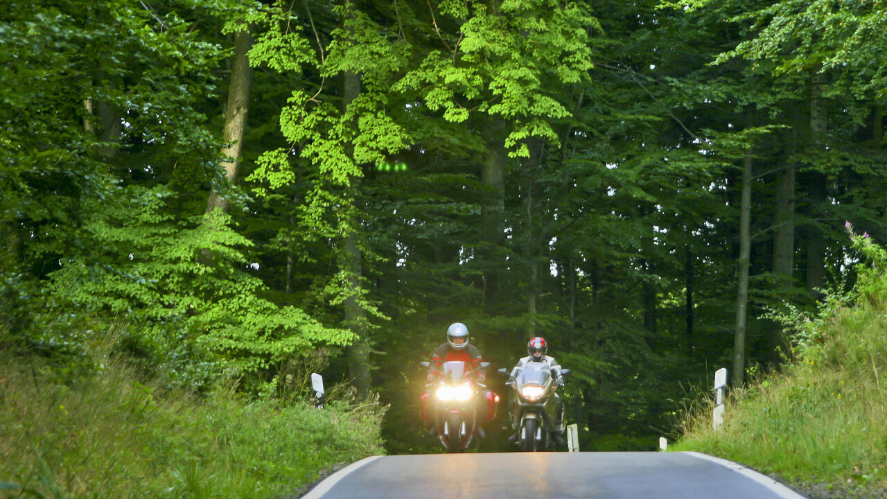 Zwei Motorräder mit Licht kommen auf einer Straße durch dichten Laubwald entgegen